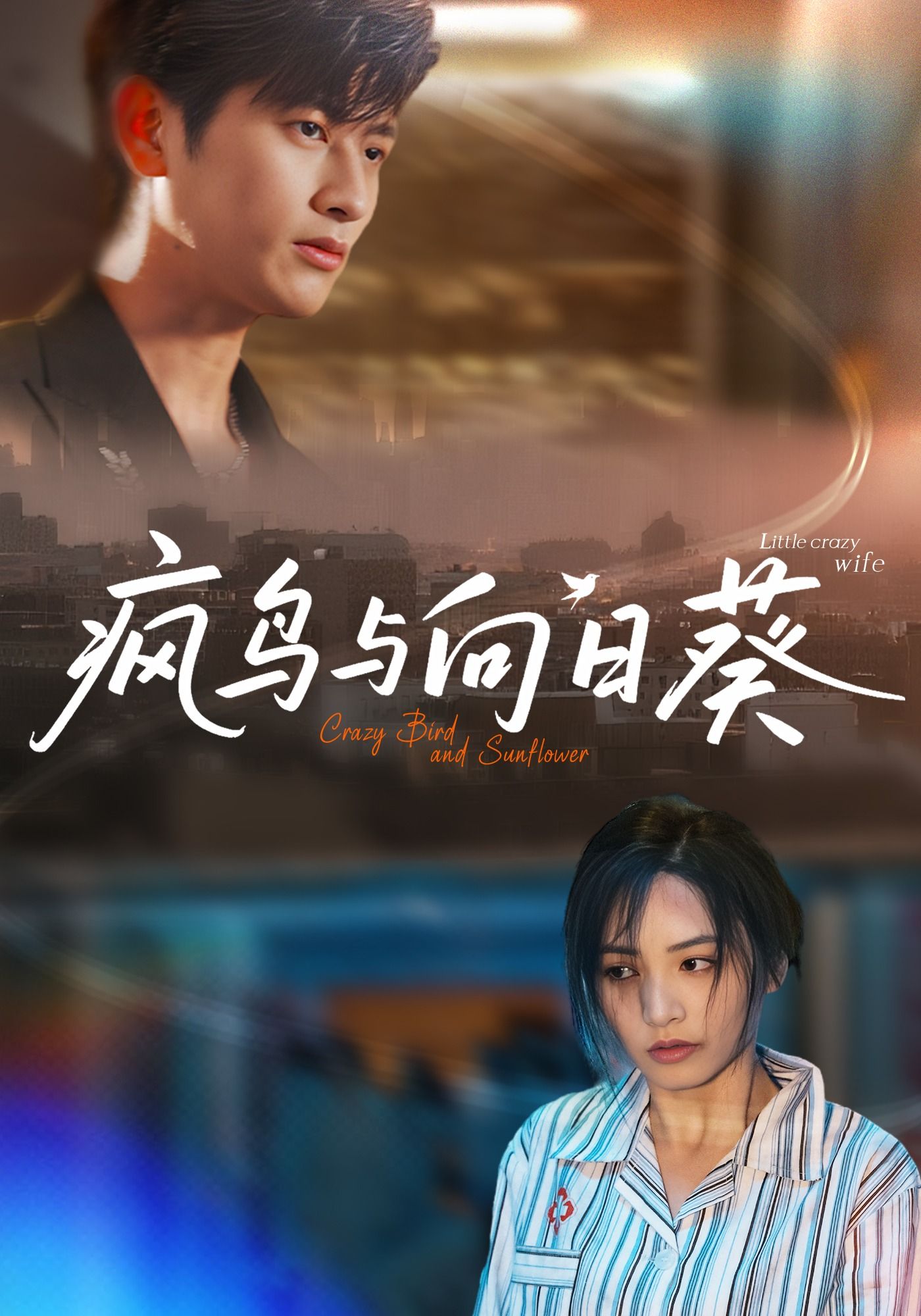 疯鸟与向日葵韩叙李虹艺主演40集全集完整版未删减免费在线观看,百度网盘夸克网盘资源分享下载  第1张 疯鸟与向日葵韩叙李虹艺主演40集全集完整版未删减免费在线观看,百度网盘夸克网盘资源分享下载  第1张