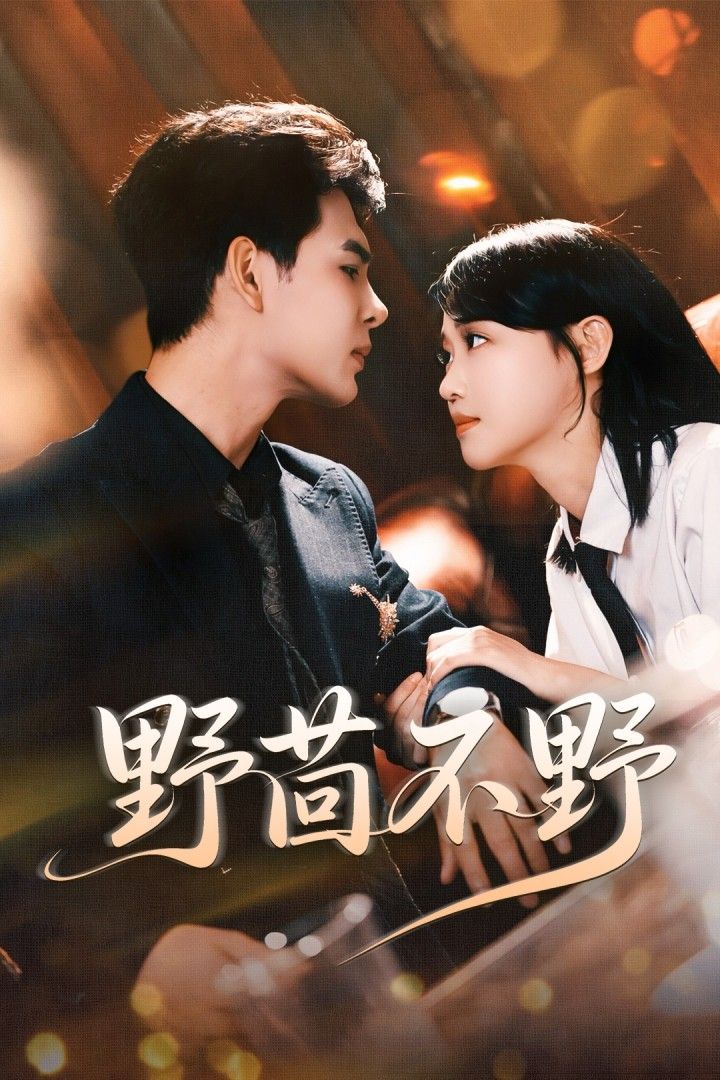 野茴不野67集靳旺龚芳妮全集完整版超清免费在线观看未删减版百度网盘夸克网盘资源分享下载  第1张 野茴不野67集靳旺龚芳妮全集完整版超清免费在线观看未删减版百度网盘夸克网盘资源分享下载  第1张