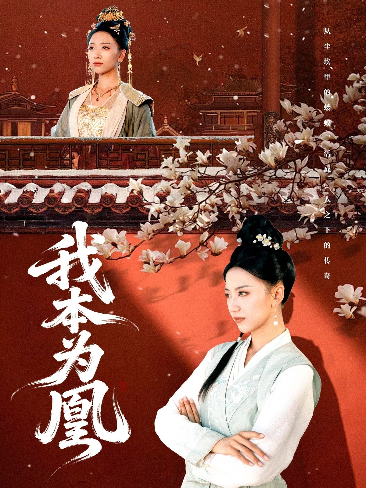 热门短剧我本为凰82集全集傅宇航刘继徽版超清未删减免费在线观看,百度网盘夸克网盘资源分享下载  第1张 热门短剧我本为凰82集全集傅宇航刘继徽版超清未删减免费在线观看,百度网盘夸克网盘资源分享下载  第1张