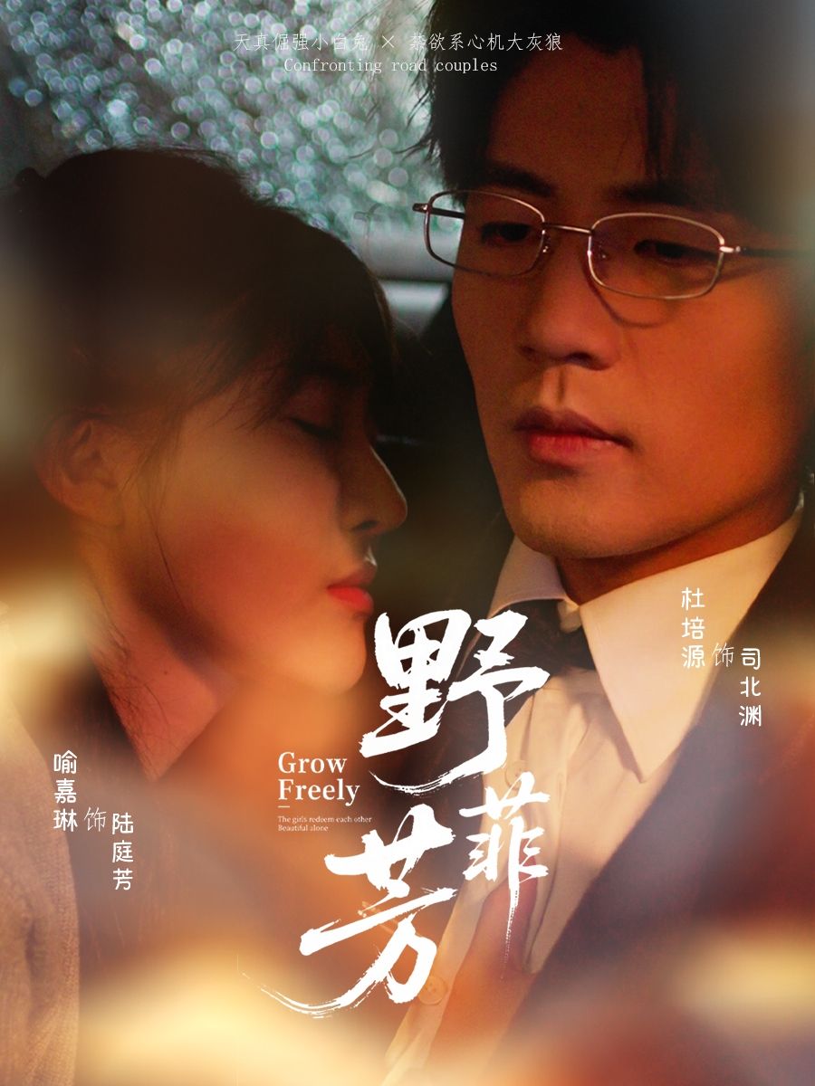 热门短剧野芳菲60集全集完整版未删减,喻嘉琳杜培源主演,免费在线观看播放,百度网盘夸克网盘资源免费分享下载  第1张 热门短剧野芳菲60集全集完整版未删减,喻嘉琳杜培源主演,免费在线观看播放,百度网盘夸克网盘资源免费分享下载  第1张