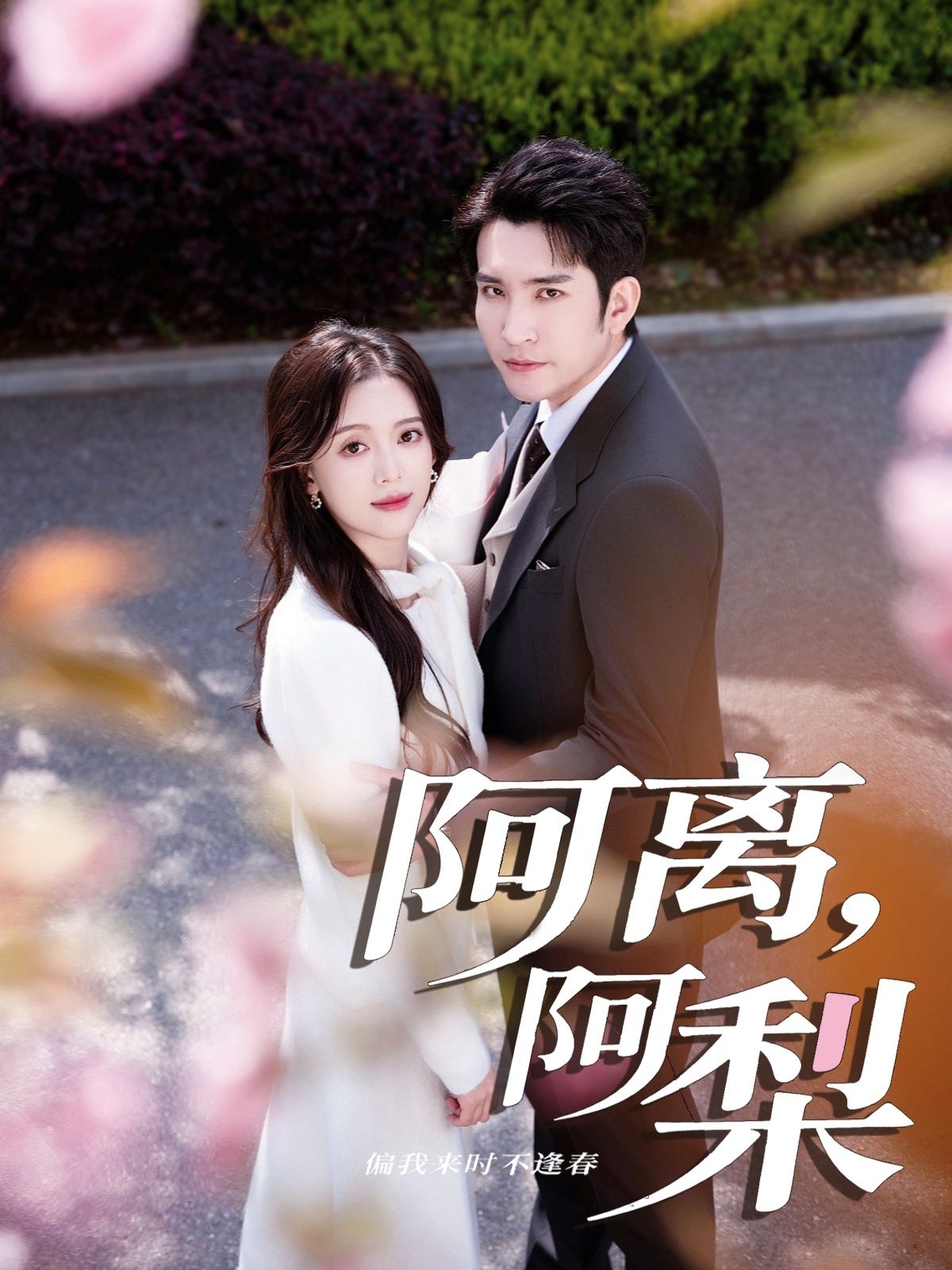 热门短剧阿离阿梨60集全集王已歌唐敬主演,免费在线观看未删减版,百度网盘夸克网盘资源分享下载  第1张 热门短剧阿离阿梨60集全集王已歌唐敬主演,免费在线观看未删减版,百度网盘夸克网盘资源分享下载  第1张