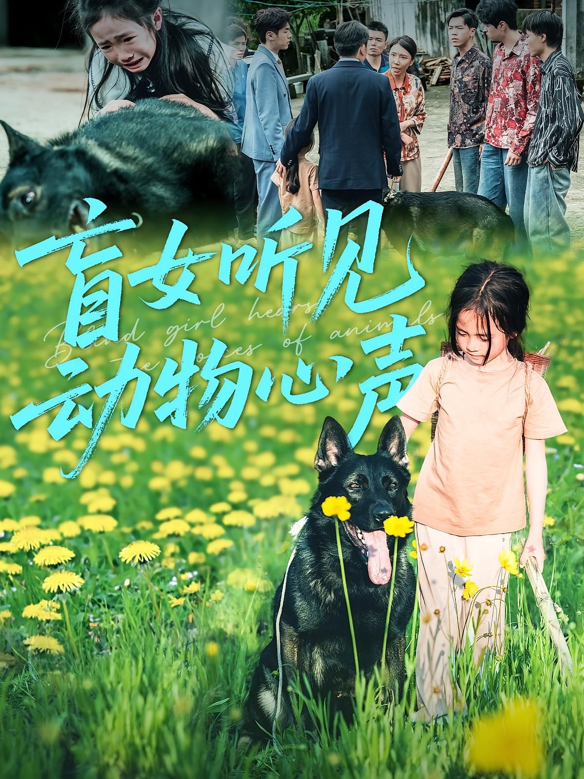 盲女听见动物心声(61集)全集完整版未删减免费在线观看,百度网盘夸克网盘资源分享下载  第1张 盲女听见动物心声(61集)全集完整版未删减免费在线观看,百度网盘夸克网盘资源分享下载  第1张