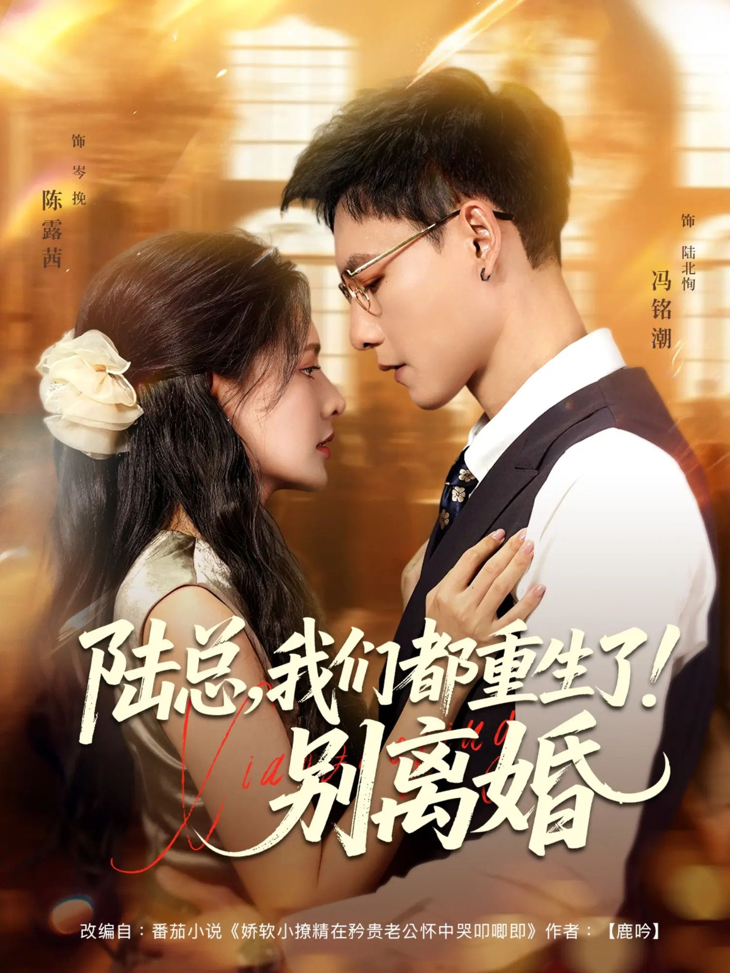 热门短剧陆总我们都重生了别离婚79集全 冯铭潮&陈露茜主演 全集完整版免费在线观看未删减 百度网盘夸克网盘资源分享下载  第1张 热门短剧陆总我们都重生了别离婚79集全 冯铭潮&陈露茜主演 全集完整版免费在线观看未删减 百度网盘夸克网盘资源分享下载  第1张