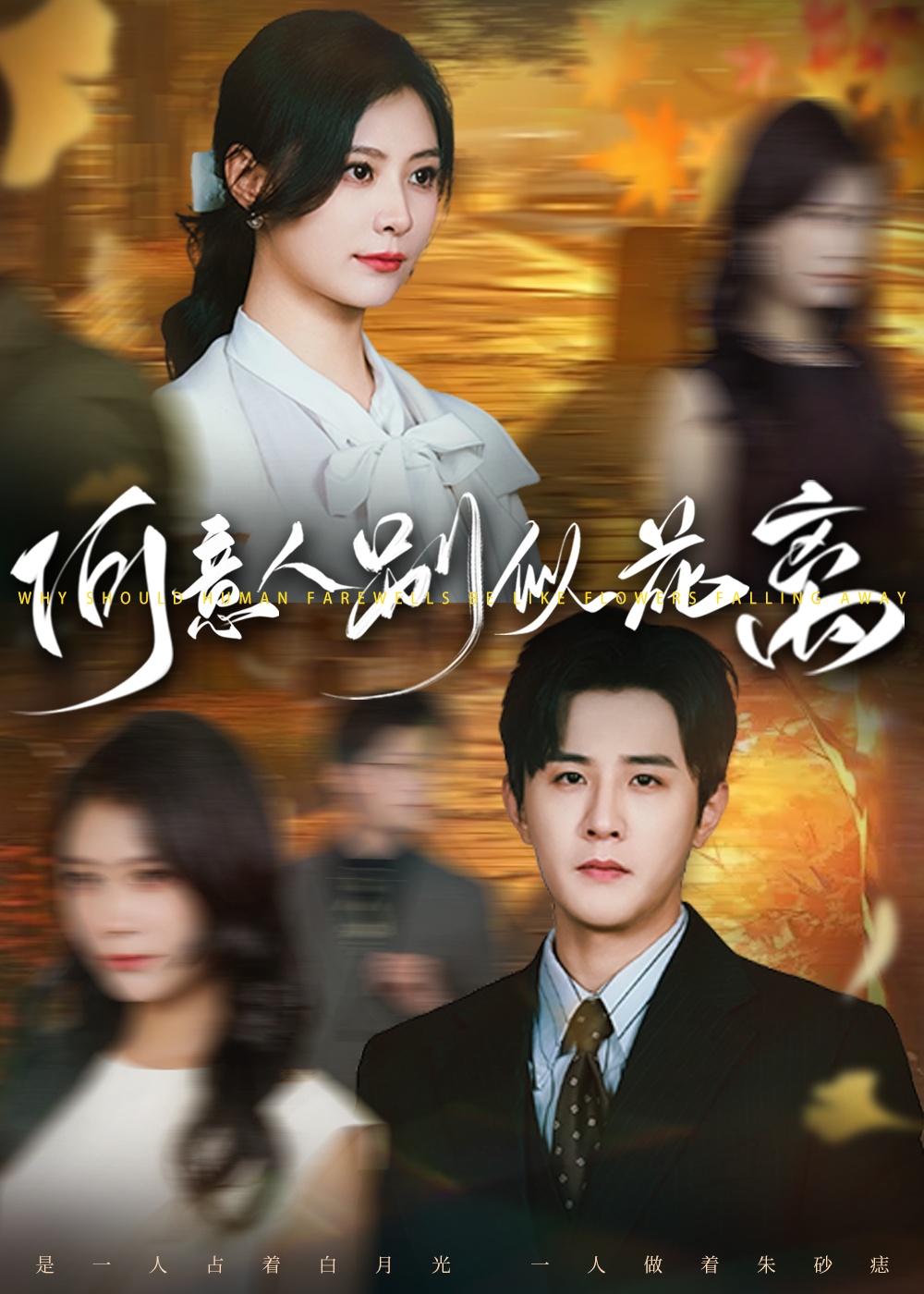 短剧何意人别似花离全集免费在线观看,高清画质无广告,大结局震撼揭晓,完整版抢先看!  第1张 短剧何意人别似花离全集免费在线观看,高清画质无广告,大结局震撼揭晓,完整版抢先看!  第1张