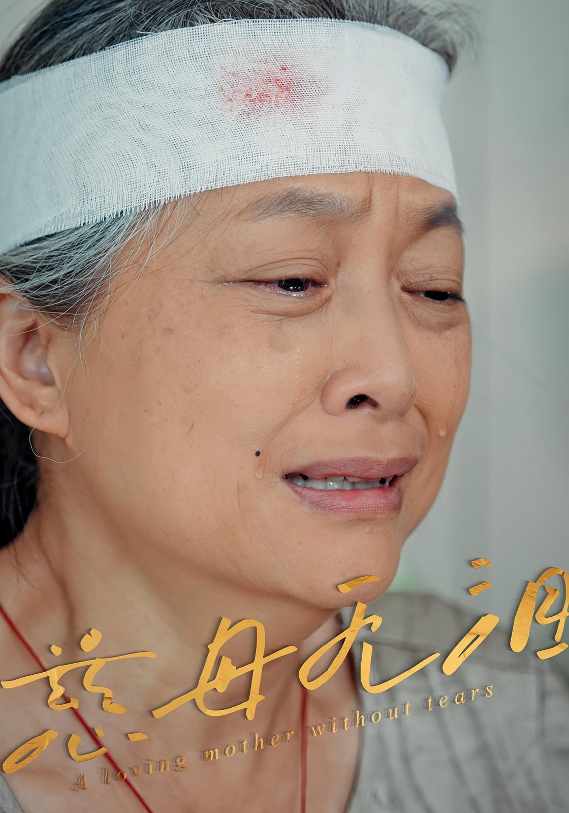 热门短剧慈母无泪30集全集未删减免费在线观看,百度网盘夸克资源分享下载,完整版未删减资源在线播放