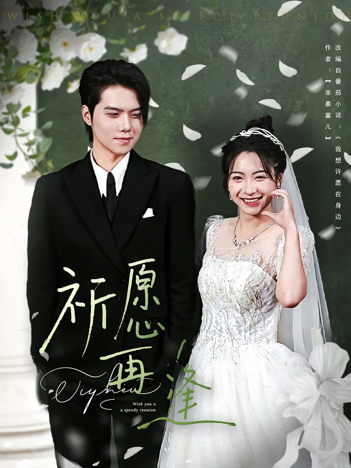 祈愿再逢(80集)全集完整版免费在线观看未删减版 百度网盘夸克网盘免费资源下载  第1张 祈愿再逢(80集)全集完整版免费在线观看未删减版 百度网盘夸克网盘免费资源下载  第1张