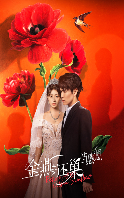 热门短剧金燕还巢当感恩55集全集完整版未删减 晓杨刘曙瑞主演 免费在线观看 百度网盘夸克网盘资源下载  第1张 热门短剧金燕还巢当感恩55集全集完整版未删减 晓杨刘曙瑞主演 免费在线观看 百度网盘夸克网盘资源下载  第1张