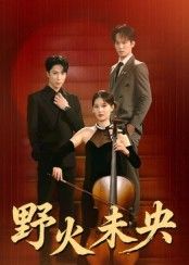 热门短剧野火未央40集张旭&刘畅主演 全集完整版免费在线观看 未删减版 百度网盘夸克网盘资源秒存下载  第1张 热门短剧野火未央40集张旭&刘畅主演 全集完整版免费在线观看 未删减版 百度网盘夸克网盘资源秒存下载  第1张