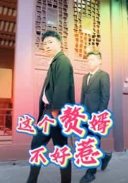 热门短剧这个赘婿不好惹(27集)全集完整版免费稳定在线观看,未删减版资源,百度网盘夸克网盘免费分享下载  第1张 热门短剧这个赘婿不好惹(27集)全集完整版免费稳定在线观看,未删减版资源,百度网盘夸克网盘免费分享下载  第1张