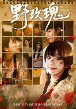 热门短剧野玫瑰82集全|钊瑞象韵洁主演全集完整版免费在线观看|未删减版百度夸克网盘资源下载  第1张 热门短剧野玫瑰82集全|钊瑞象韵洁主演全集完整版免费在线观看|未删减版百度夸克网盘资源下载  第1张