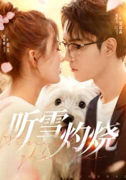 听雪灼烧68集全集未删减版 希尔力刘美娜主演 免费在线观看+百度网盘夸克网盘资源下载  第1张 听雪灼烧68集全集未删减版 希尔力刘美娜主演 免费在线观看+百度网盘夸克网盘资源下载  第1张