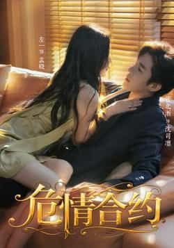 热门短剧危情合约全集完整版超清免费在线观看，未删减版资源，百度网盘夸克网盘免费分享下载  第1张