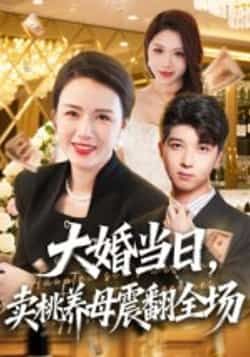 热门短剧大婚当日,卖桃养母震翻全场全集完整版免费在线观看 未删减版实时更新 百度网盘夸克网盘资源分享下载  第1张 热门短剧大婚当日,卖桃养母震翻全场全集完整版免费在线观看 未删减版实时更新 百度网盘夸克网盘资源分享下载  第1张