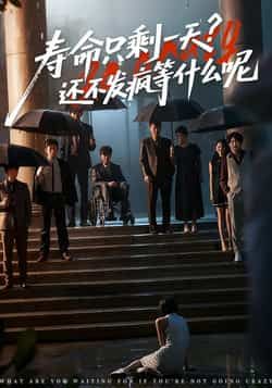 热门短剧《寿命只剩一天,还不发疯等什么呢》 全集完整版超清免费在线观看播放未删减版资源,短剧百度网盘夸克网盘免费资源分享下载  第1张 热门短剧《寿命只剩一天,还不发疯等什么呢》 全集完整版超清免费在线观看播放未删减版资源,短剧百度网盘夸克网盘免费资源分享下载  第1张