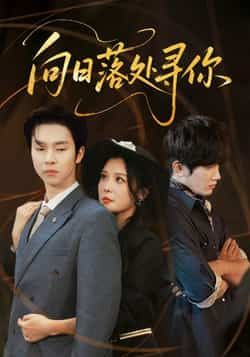 热门短剧向日落处寻你全集完整版超清免费在线观看未删减版，百度网盘夸克网盘免费资源分享下载