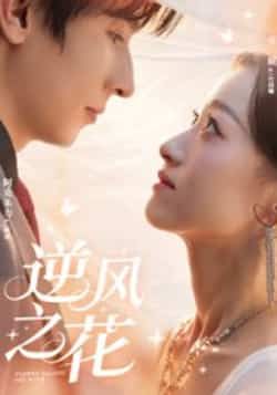 热门短剧逆风之花全集完整版免费在线观看未删减版，百度网盘夸克网盘免费资源分享下载，稳定播放无广告