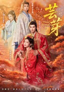 热门短剧芸芽全集完整版免费无需注册在线观看未删减版，百度网盘夸克网盘免费资源分享下载