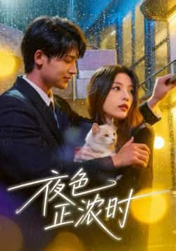 热门短剧夜色正浓时全集完整版免费在线观看未删减版，百度网盘夸克网盘实时更新资源分享下载