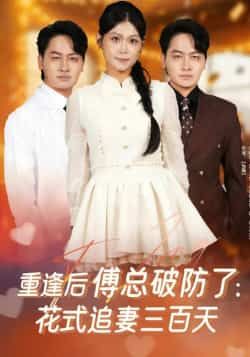 热门短剧重逢后傅总破防了，花式追妻三百天全集完整版免费稳定在线观看未删减版，百度网盘夸克网盘免费资源分享下载