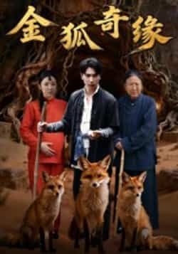 热门短剧金狐奇缘全集完整版免费无水印在线观看未删减版，百度网盘夸克网盘免费资源分享下载
