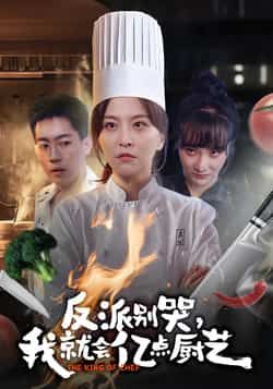 热门短剧反派别哭，我就会亿点厨艺全集完整版未删减免费在线观看，百度网盘夸克网盘资源分享下载