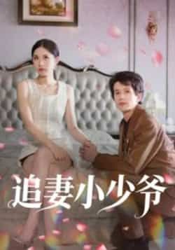 热门短剧追妻小少爷全集完整版未删减,极速免费在线观看播放,百度网盘夸克网盘免费资源分享下载,未删减版资源直达