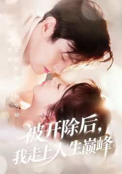 热门短剧《被开除后,我走上人生巅峰》 全集完整版免费观看在线播放未删减版资源,短剧百度网盘夸克网盘免费资源分享下载