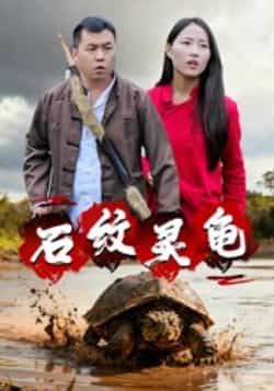 热门短剧石纹灵龟全集完整版未删减免费在线观看,百度网盘夸克网盘免费资源秒存分享下载
