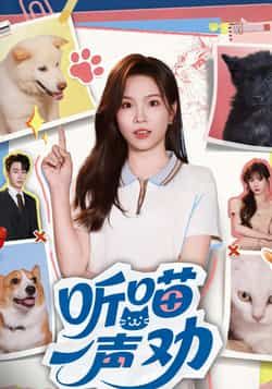 热门短剧听喵一声劝全集完整版免费在线观看未删减版，百度网盘夸克网盘免费资源下载分享  第1张