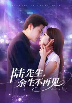 热门短剧陆先生，余生不再见全集高清未删减免费在线观看，百度网盘夸克资源免费分享下载，完整版播放资源合集