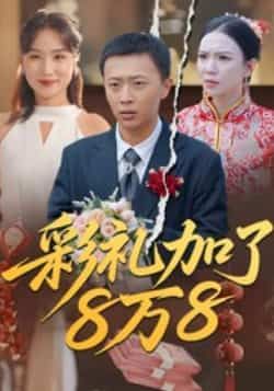 热门短剧彩礼加了8万8全集完整版纯净免费在线观看 未删减版资源 百度/夸克网盘免费分享下载