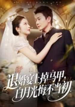 热门短剧退婚宴上掉马甲，白月光悔不当初全集完整版超清免费在线观看未删减，百度网盘夸克网盘免费资源分享下载