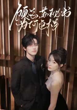 热门短剧顾总，苏秘书为何这样全集完整版实时更新，免费在线观看未删减版，百度网盘夸克网盘免费资源分享下载