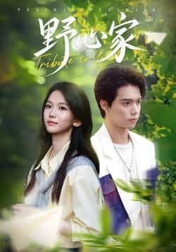 热门短剧野心家全集完整版免费无水印在线观看未删减版，百度网盘夸克网盘免费资源分享下载