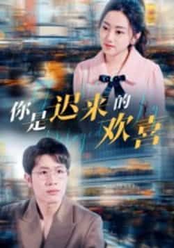 热门短剧《你是迟来的欢喜》 全集完整版更新完毕免费在线观看播放未删减版资源，短剧百度网盘夸克网盘免费资源分享下载