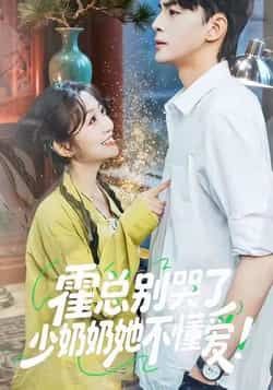 热门短剧霍总别哭了少奶奶她不懂爱全集完整版免费稳定在线观看未删减版，百度网盘夸克网盘免费资源分享下载