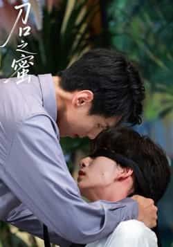 热门短剧刀口之蜜全集完整版免费观看未删减版，在线播放+百度网盘夸克网盘免费资源分享下载