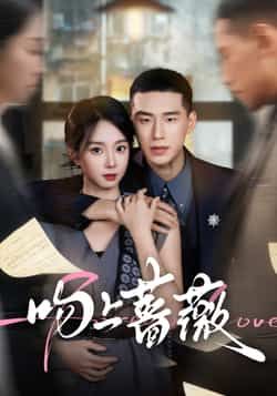 热门短剧吻上蔷薇全集完整版超清未删减版免费在线观看播放,百度网盘夸克网盘免费资源分享下载,全集高清未删减版在线看