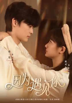 热门短剧因为遇见你全集完整版更新完毕,免费在线观看未删减版,百度网盘夸克网盘资源分享下载